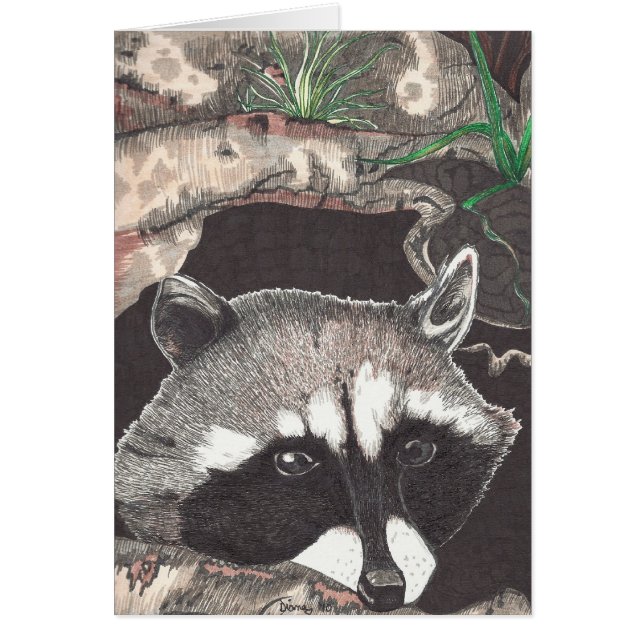 Cartão Racoon (Frente)