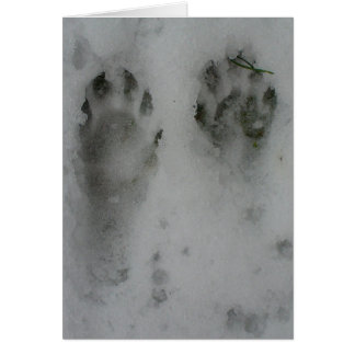 Cartão Racum da neve '
