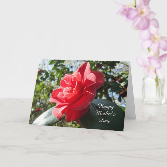Cartão Radiant Red Camellia - Placa de Dia de as mães Per (Orquídea)