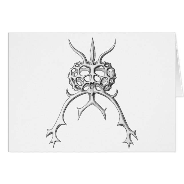 Cartão Radiolaria (Frente Horizontal)