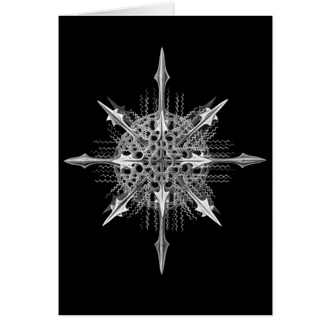 Cartão Radiolarians (Frente)