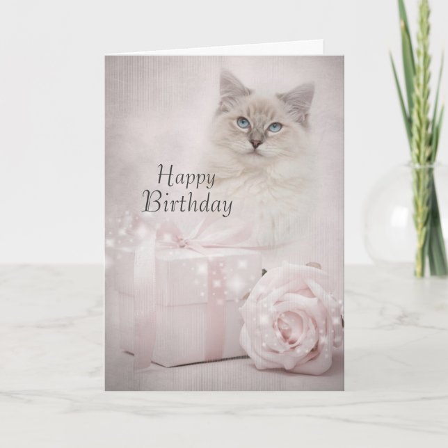Cartão Ragdoll birthday card (Frente)