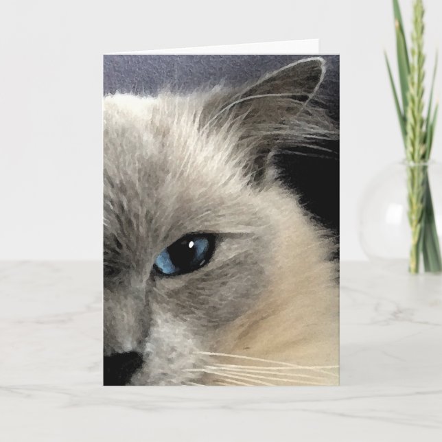 Cartão Ragdoll Cat Greeting Card (Frente)