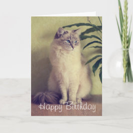Cartão Ragdoll Cat Greeting Card