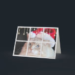 Cartão Ragdoll Cat in winter window with Christmas lights<br><div class="desc">Ragdoll cat in windowpane with snowflakes and holiday Christmas lights</div>