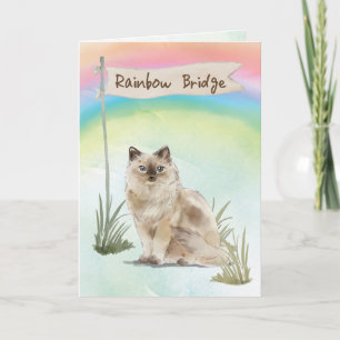 Cartão Ragdoll Cat Pet SympathOver Rainbow Bridge