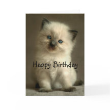 Ragdoll Kitten Birthday Card