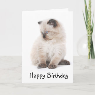 Cartão Ragdoll kitten birthday card