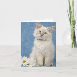 Cartão ragdoll kitten note card