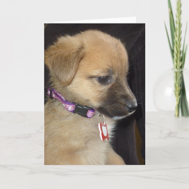 Cartão Rahja (Frente)