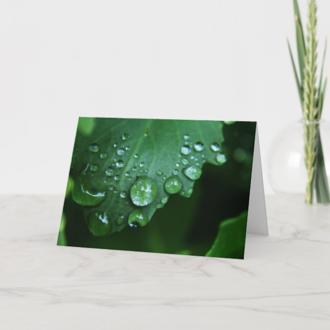 Cartão Rain Drop Blank Note Card (Frente)