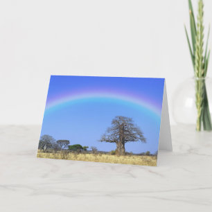 Cartão Rainbow and African baobab tree, Adansonia