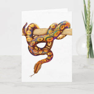 Cartão Rainbow Boa Constrictor Snake Card