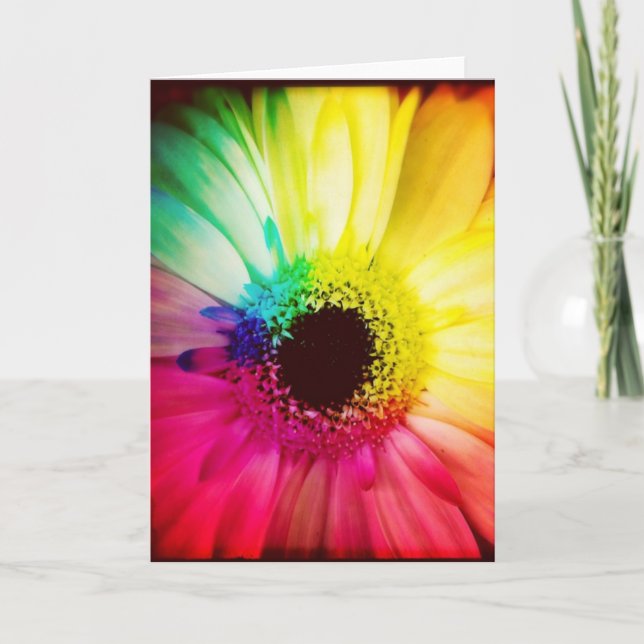 Cartão Rainbow Gerbera Daisy Blank Greeting Card (Frente)