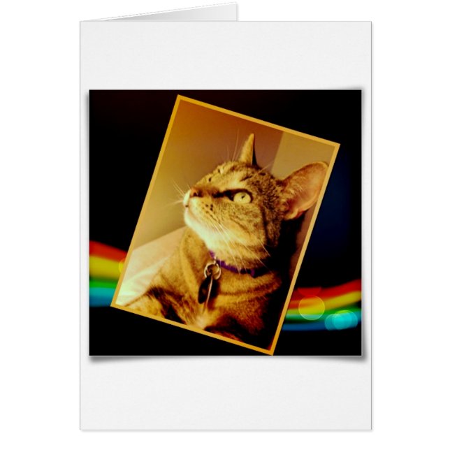 Cartão Rainbow Indigo (Frente)