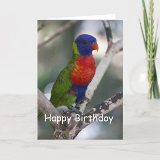 Cartão Rainbow Lorikeet Blank Birthday Card