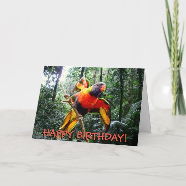 Cartão Rainbow lorikeet parrot customizable birthday card (Frente)