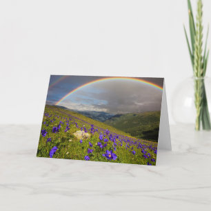 Cartão Rainbow Over A Flowering Meadow