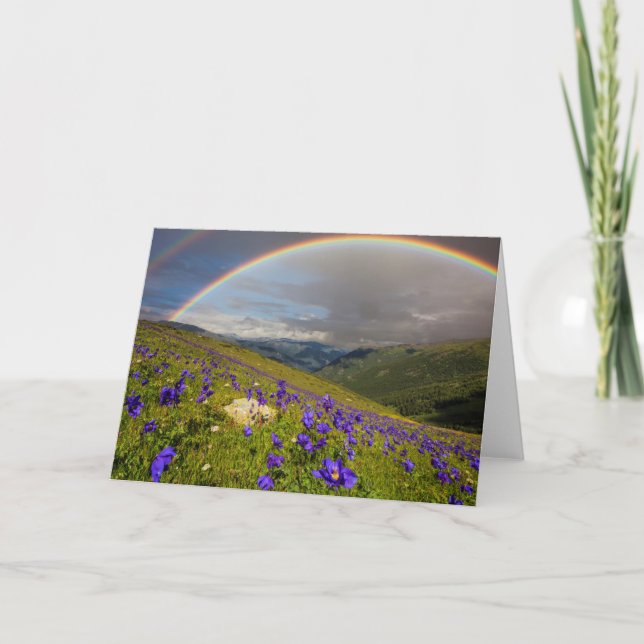 Cartão Rainbow Over A Flowering Meadow (Frente)