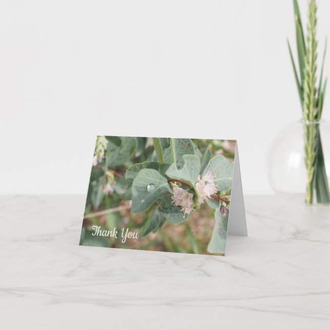 Cartão Raindrops and Leaves Folded Thank You Card (Frente)