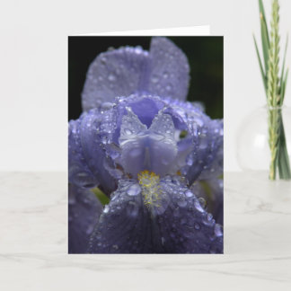 Cartão Raindrops on Iris - Greeting Card
