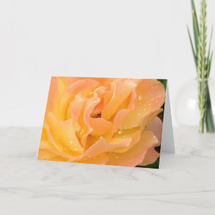 Cartão Raindrops on Roses blank card