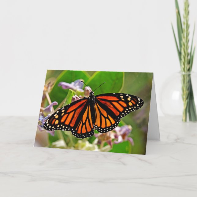 Cartão Rainha de Laranja (Frente)