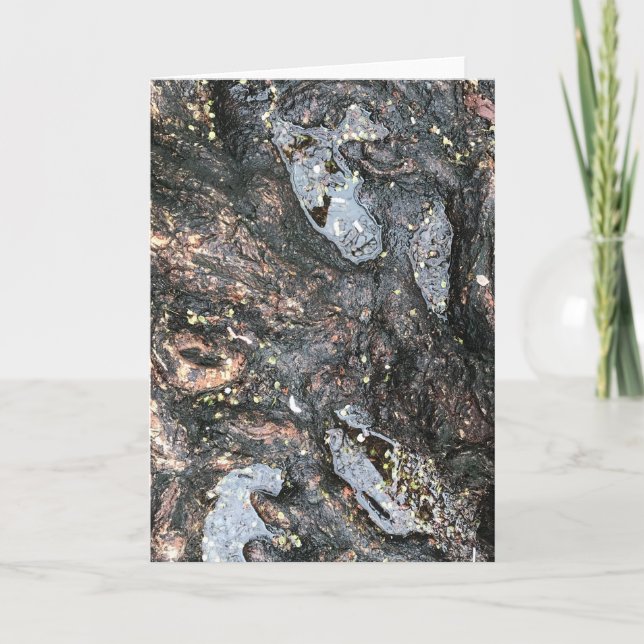 Cartão Rainha Dia Árvore Raiz Puddle Nature Fotografia (Frente)