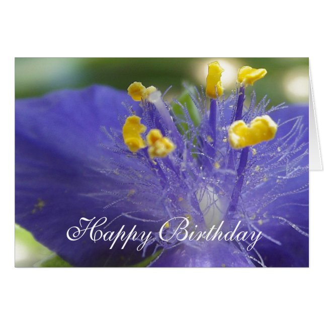 Cartão Rainha Roxa-A (Frente Horizontal)