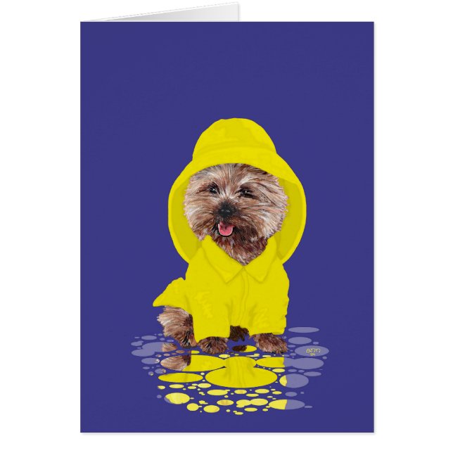 Cartão Rainy Day Cairn Terrier (Frente)