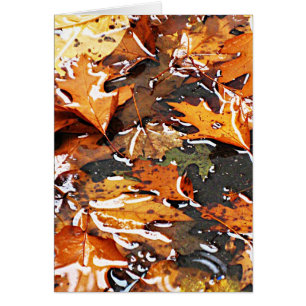 Cartão Rainy Fall Folaves