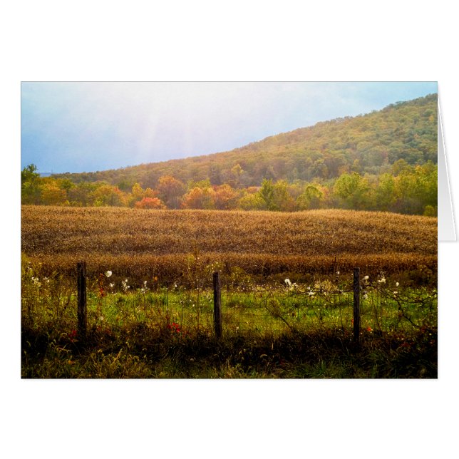 Cartão Raios do Sol no outono (Frente Horizontal)