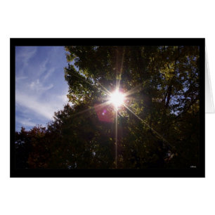 Cartão Raios solares (preto bordado)