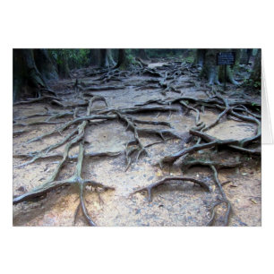 Cartão Raízes de árvore no Monte Kurama
