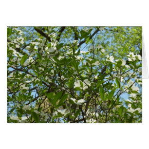 Cartão Ramais de Primavera de Lagostas de Dogwood