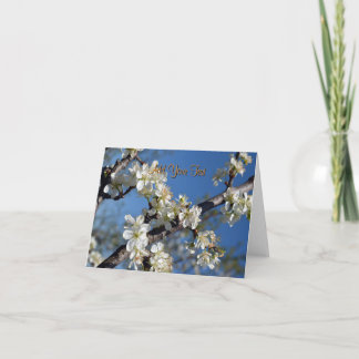 Cartão Ramificação de ameixa branca em primavera