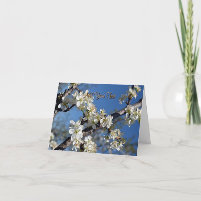 Cartão Ramificação de ameixa branca em primavera (Frente)