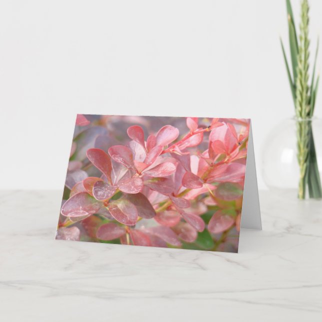 Cartão Ramificações bonito rosa (Frente)