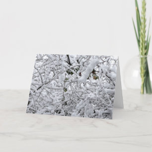Cartão Ramificações Congeladas para Wintry
