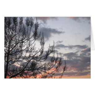 Cartão Ramificações Sunset