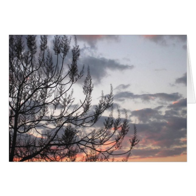 Cartão Ramificações Sunset (Frente Horizontal)