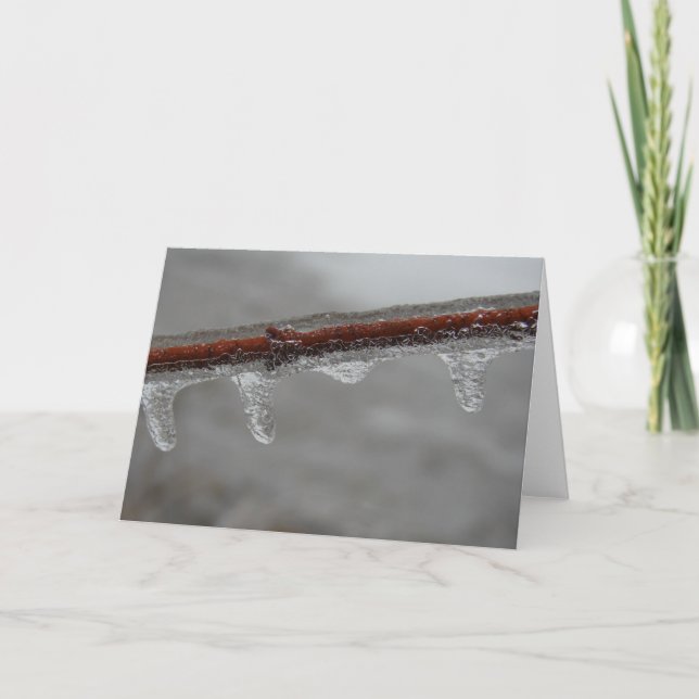 Cartão Ramo de Icy (Frente)