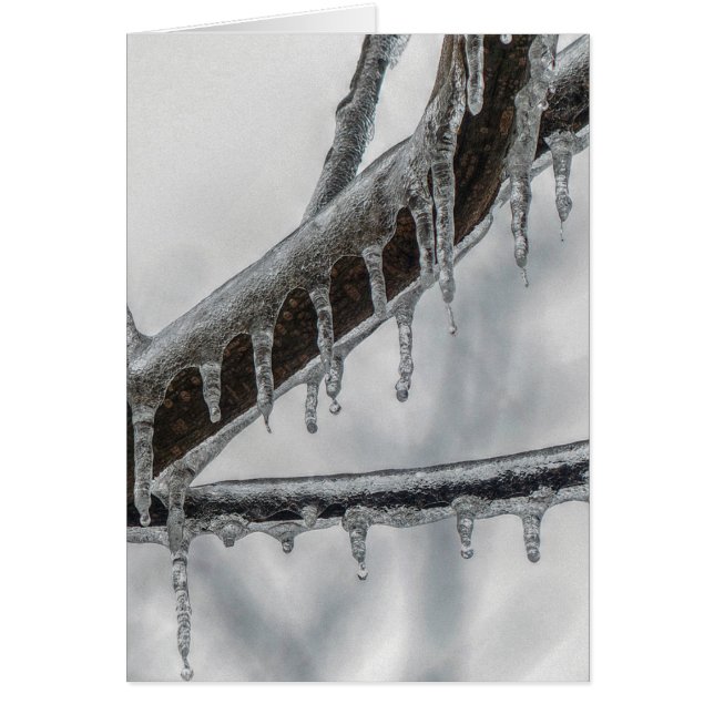 Cartão Ramo de Icy (Frente)