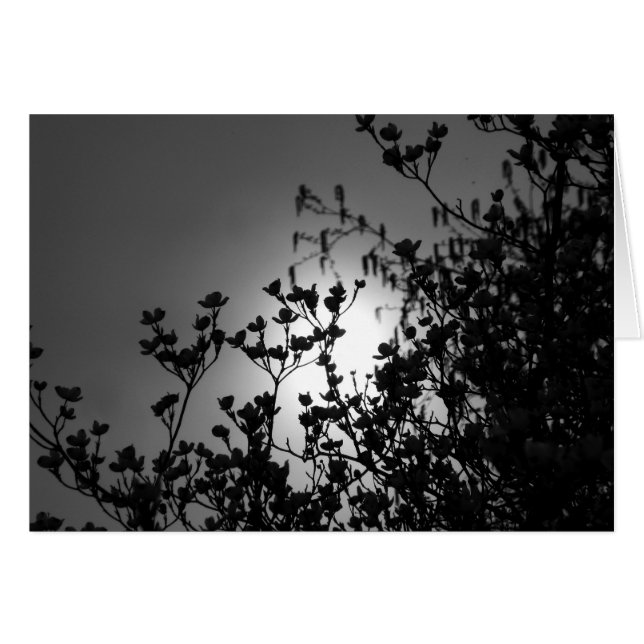 Cartão Ramos (Frente Horizontal)