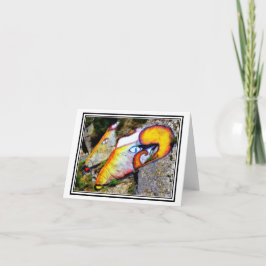 Cartão Rams! Rock Art Perto de Orgosolo, Sardenha