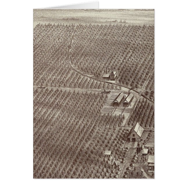 Cartão Ranch de Frutas de Capin (Frente)