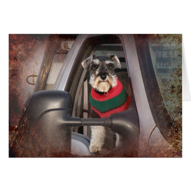 Cartão Ranch Dog (Frente Horizontal)