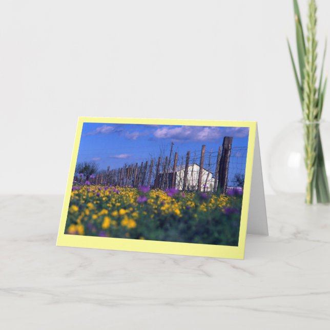 Cartão "Ranch Primavera" (Frente)