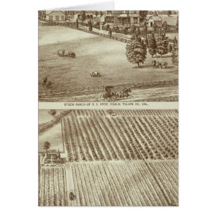 Cartão Ranches, Visalia, Tulare, Cal
