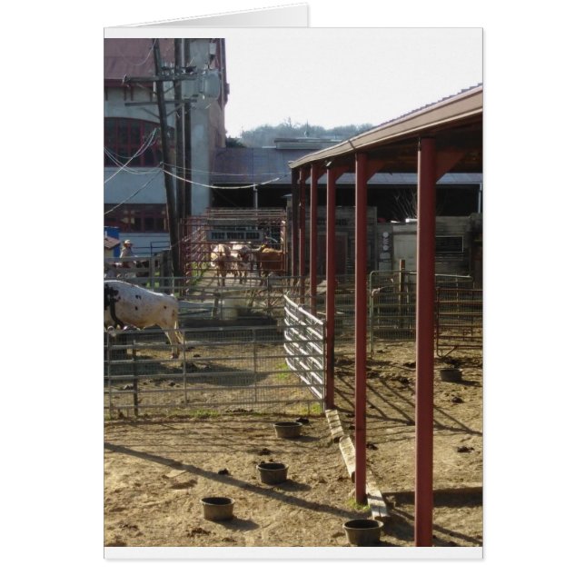 Cartão Rancho (Frente)